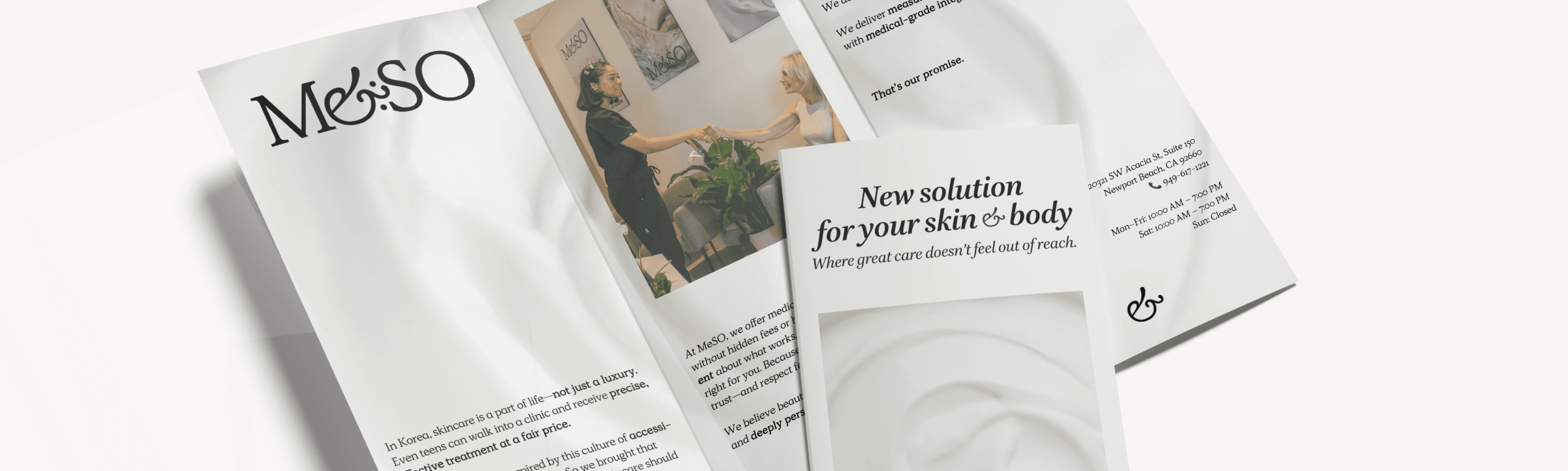 MeSO flyer
